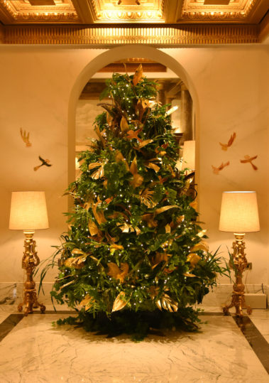 Chez Dédé firma l’albero di Natale di Hotel Eden